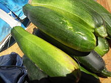 Fot. Teresa.Marcjan, Cukinia kwaszona