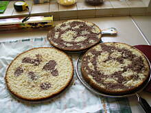 Fot. KOCIO, biszkopt idealny-rzucany