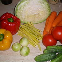 Sałatka warzywna z fasolką szparagową