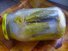 Fot. niebieska-różyczka, Ogórki kiszone na zimę najlepsze