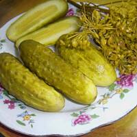 Ogórki kiszone na zimę najlepsze