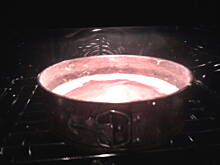 Fot. kaMillcia, Babka prosta