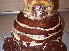 Fot. 100-krotka, Miś Mokka