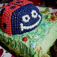 Tort biedronka na łące