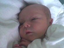 Fot. myszura, Wnusia