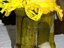 Fot. lexi27, Ogórki konserwowe wielkopolskie