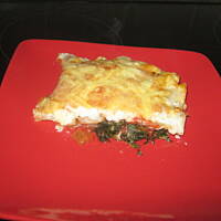 trojkolorowe lasagne z kurczaka i szpinaku