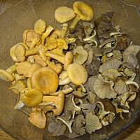 Zupa grzybowa z serem roquefort