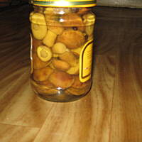 Podgrzybki marynowane