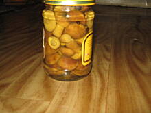 Fot. kasia146, Podgrzybki marynowane