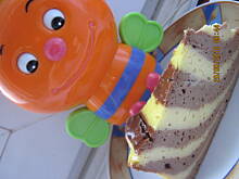 Fot. stillnox, Pszczółkowy sernik (pospolita zebra)-Protal