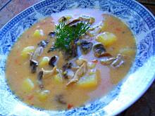 Fot. niebieska-różyczka, Zupa ogonowa z grzybami suszonymi