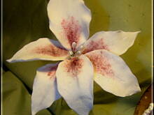 Fot. Alll, Alll i cukrowe dekoracje- lilie na druciku