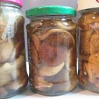 Grzyby marynowane