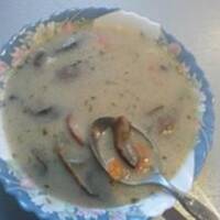 Zupa grzybowa ze swieżych grzybów
