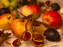 Fot. Wkn, Smaki jesieni - jabłka