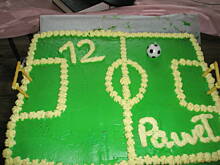 Fot. lucynka71, tort boisko