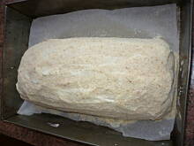 Fot. nika2, Zawijaniec ziemniaczany