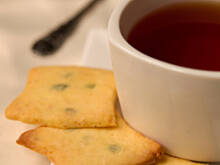 Fot. Wkn, Kiwusiaki limonkowe