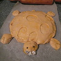 Żółwie i krokodyl na drożdżach