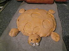 Fot. je7mima, Żółwie i krokodyl na drożdżach