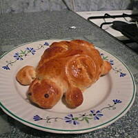 Żółwie i krokodyl na drożdżach