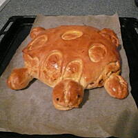 Żółwie i krokodyl na drożdżach