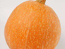 Fot. Wkn, Dynie - brzuchate karoce smaku