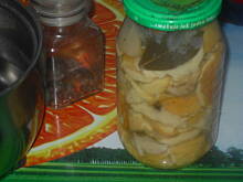 Fot. Teresa.Marcjan, Marynata uniwersalna do grzybów