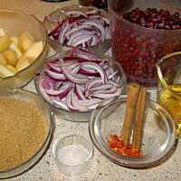 Salsa z czerwonych borowek z gruszka