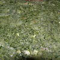 Penne ze szpinakiem i szynką przepisu Beatarii