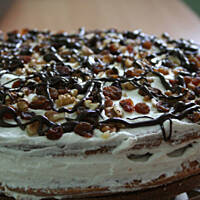 Orpheus-signature cake