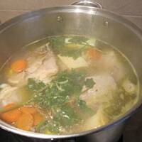 Zupka chlupka galopka