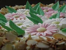 Fot. msewka, Tort dla Mamy.