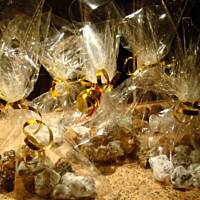 Trufle niespodzianki w wersji dietetycznej na święta