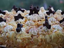 Fot. bernika, Tort Malakoff