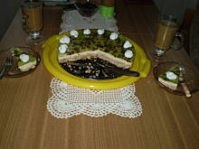 Fot. gabia, Deser Melba