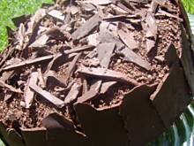 Fot. bernika, Tort truflowy