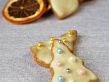 Fot. Wkn, Miodowniczki korzenne