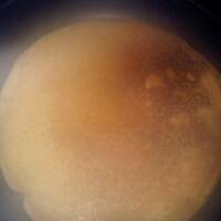 Makaron jajeczny - wersja dietetyczna