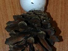 Fot. aggusia35, Zabawy z mamą - Szyszkowy Mikołaj