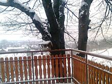 Fot. makusia, Pamiętacie o dokarmianiu ptaków? 