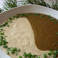 Zupa-krem z borowików w dwóch kolorach