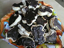 Fot. je7mima, Markizy