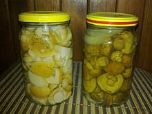 Fot. RadekPoland, Grzybki marynowane wg Radzia