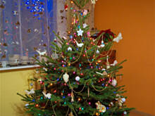 Fot. Wkn, Choinkowa galeria 2010