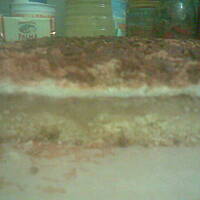 Szarlotka Łaciata ;)