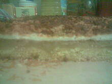 Fot. emi~, Szarlotka Łaciata ;)