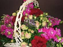 Fot. hope30, Urodziny  Aloalo