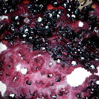 ciasto drożdżowe z borówkami